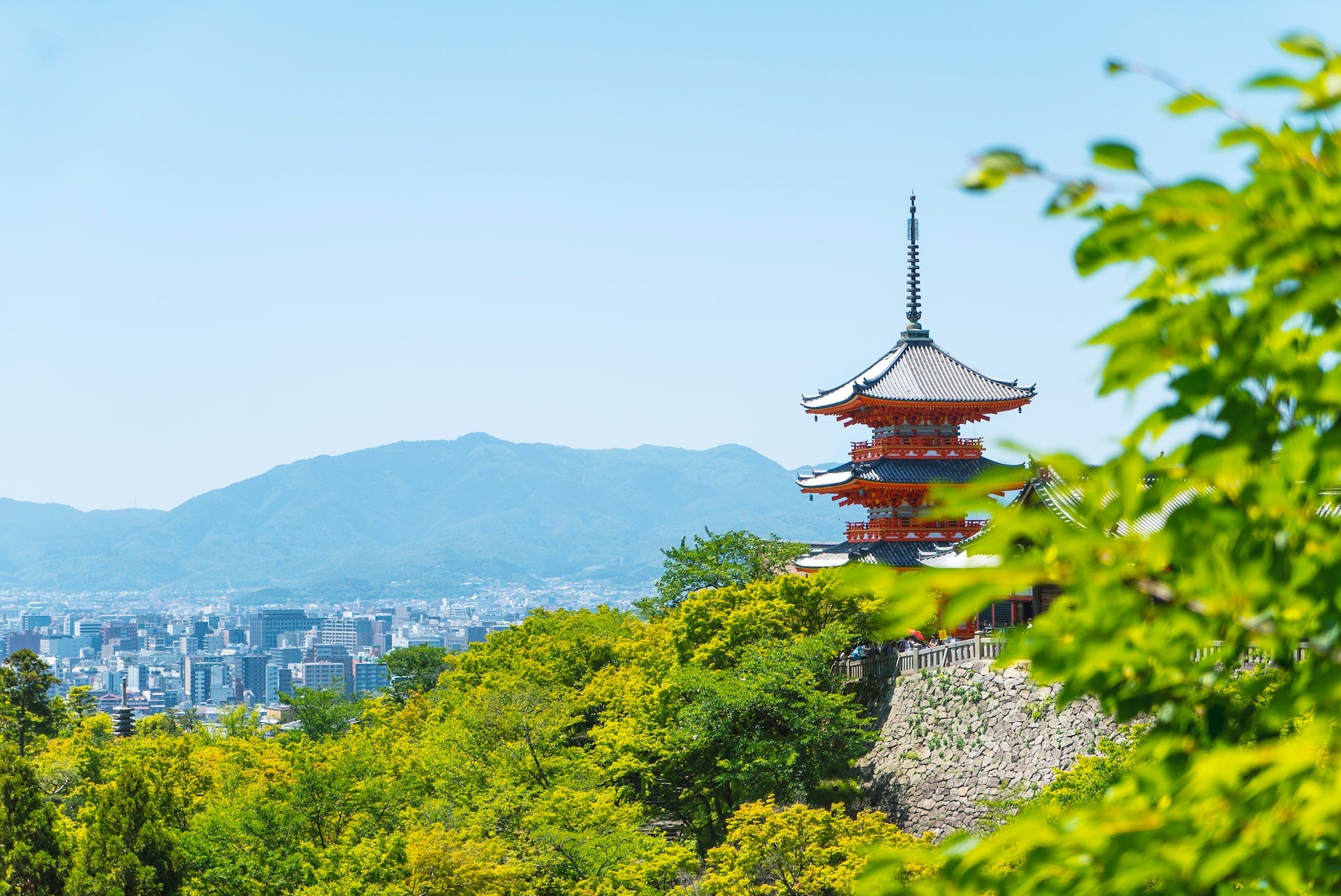 京都 ギャラリー