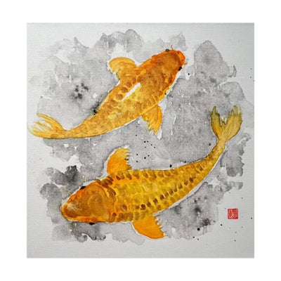 変わり鯉 ORANGE GOLD (Kawarigoi) ~ Koi Collection