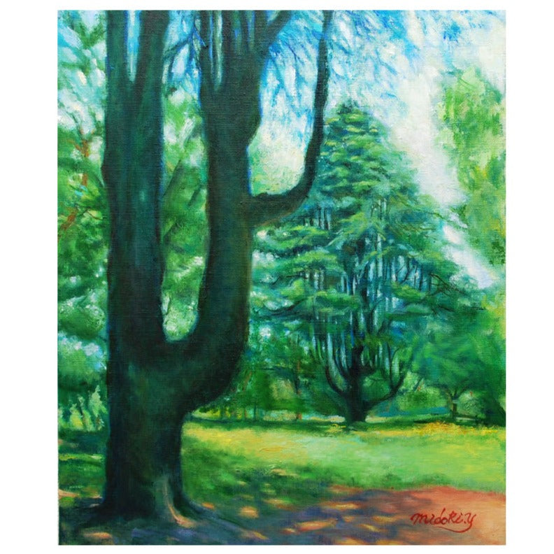 緑君 絵画 ヒマラヤスギ（彩の森入間公園）／山口ミドリ｜アート絵画・販売通販