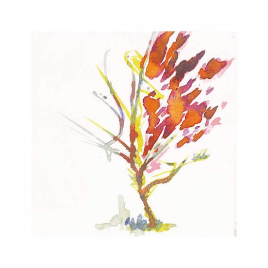 街路樹のためのドローイング#15 – WASABI