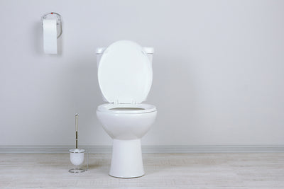 風水的・運気を上げるトイレとは?置くべき・置くべきでないインテリアを徹底解説。方角別おすすめカラーも。