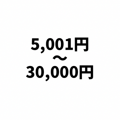5,001円〜30,000円