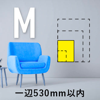 Mサイズ（一辺530mm以内）