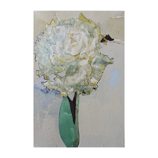 トルコキキョウ1