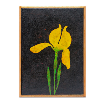 A single yellow iris No.241