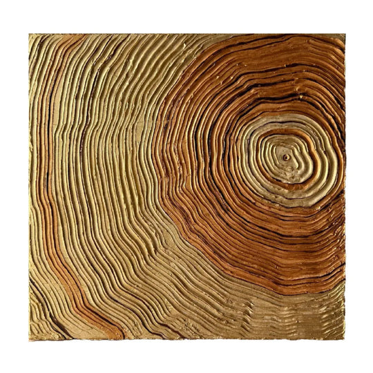 Tree Rings