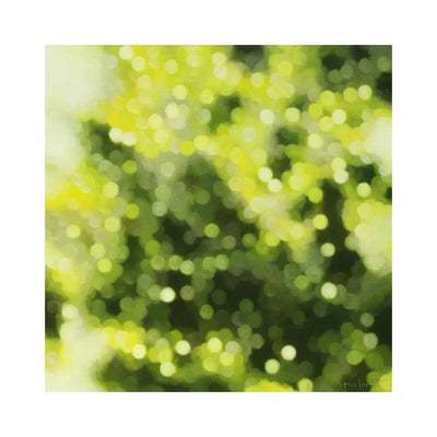 Forest Birds #8 (森に棲む鳥 #8)