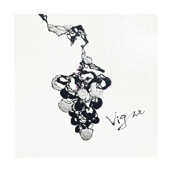 IL‐Line【 Vigne 】