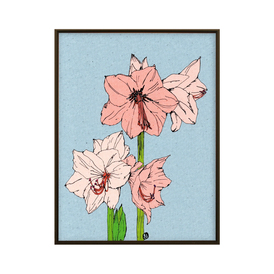 Amaryllis Structure No.309