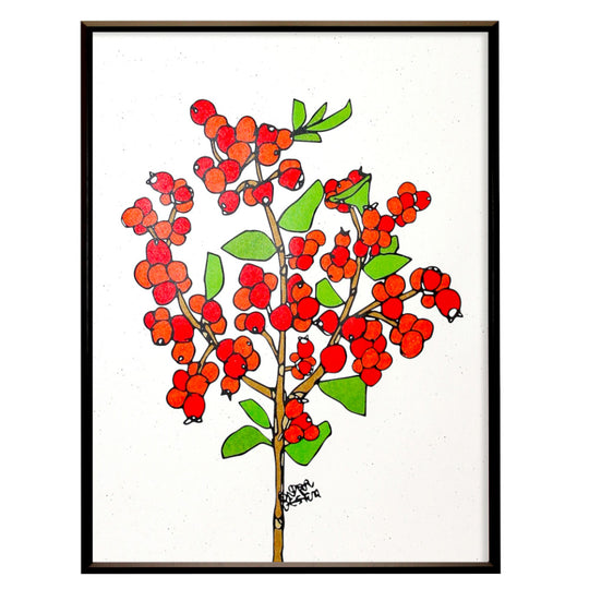 Red winterberry No.173【レッドウインターベリー】