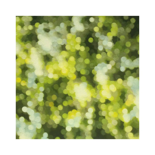 Forest Birds #7 （森に棲む鳥 #7)