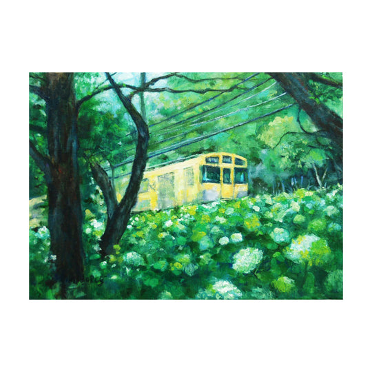 あじさいと電車（東村山、北山公園）