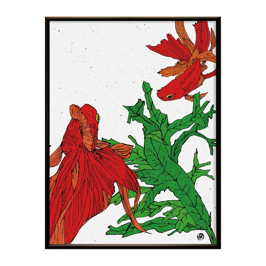 Confronting Goldfish No.226 「対峙する金魚」