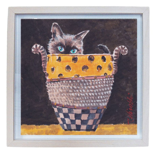 234-cat in pot