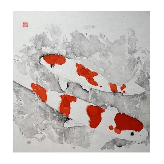 錦鯉 紅白 #2 (Kouhaku) ~ Koi Collection