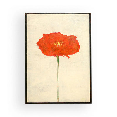 Orange Poppy Solo No.203