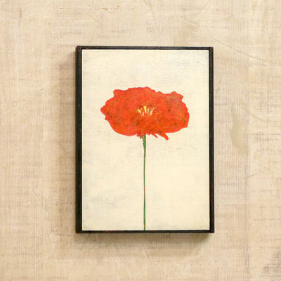 Orange Poppy Solo No.203