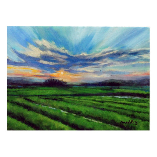 茶畑夕景（入間市茶どころ通り）