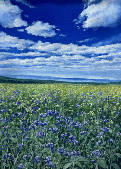 シリーズ　花畑（原画）