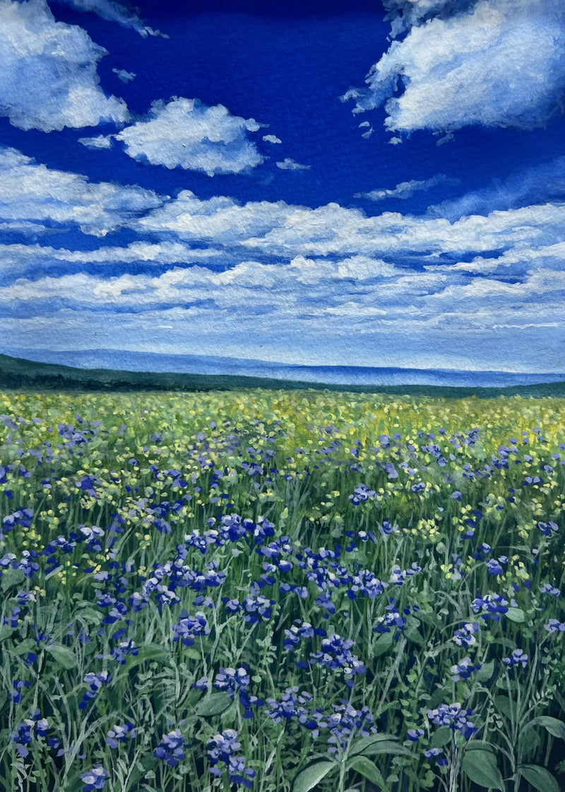 シリーズ　花畑（原画）
