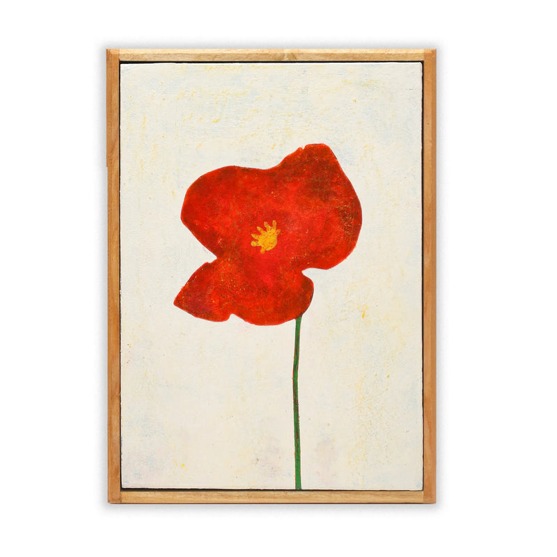 A single red poppy No._