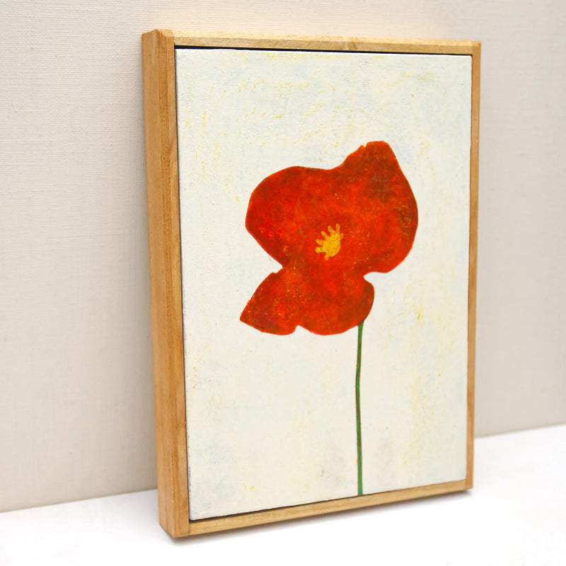 A single red poppy No._