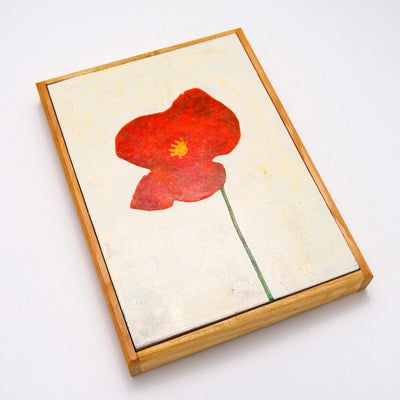 A single red poppy No._