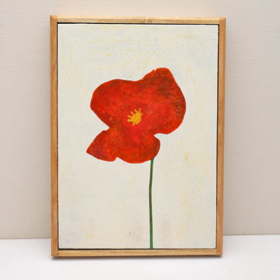 A single red poppy No._