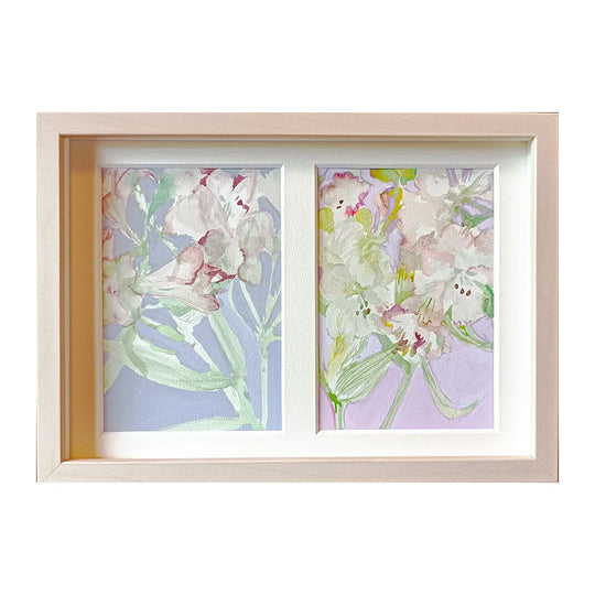 alstroemeria(white)