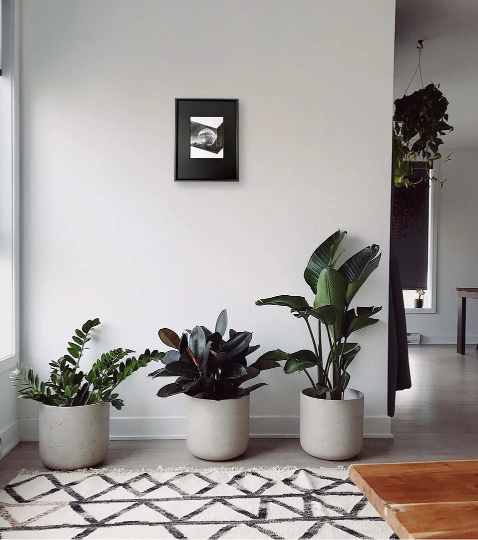 なめらかな帰還(マルチプル)