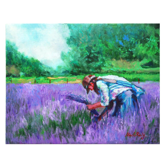 ラベンダーを摘む少女