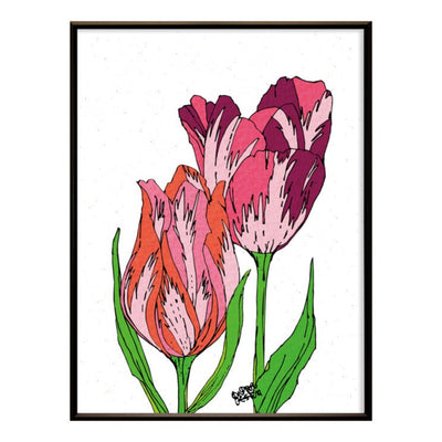 Colour of Tulips. No.172