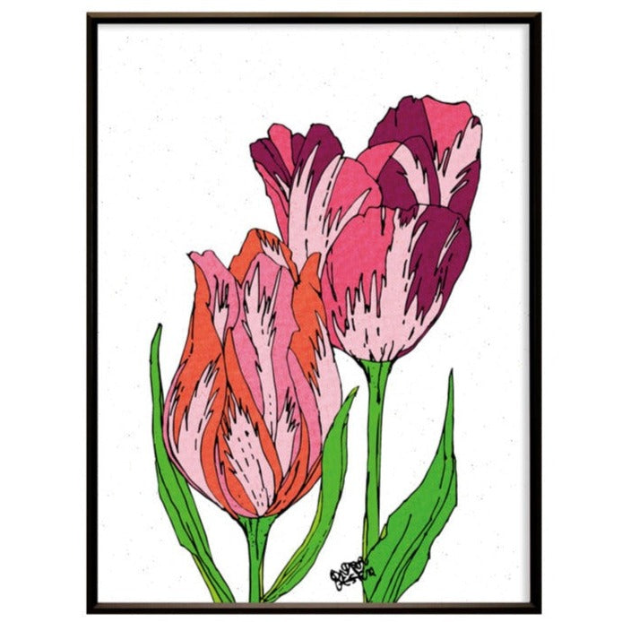 Colour of Tulips. No.172