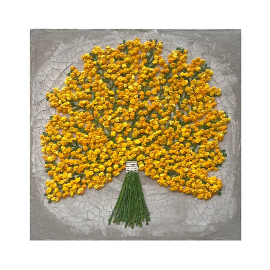 mimosa 3