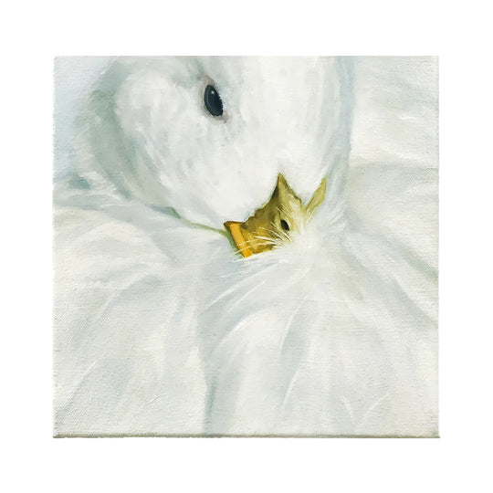 Wrapped in soft white dreams