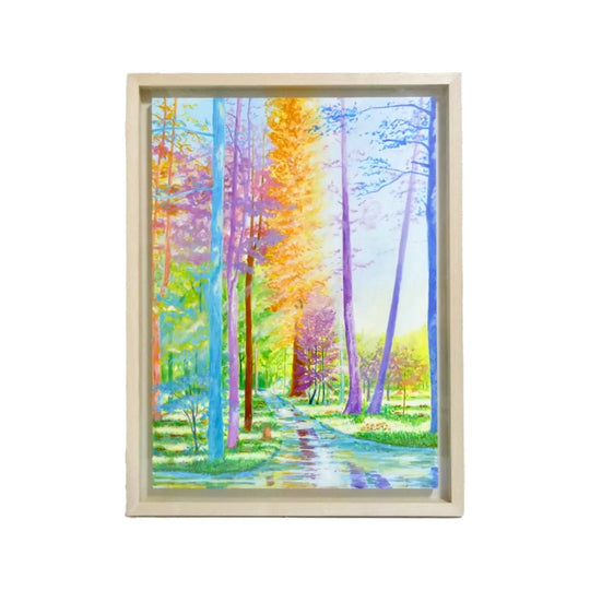 色彩の森　静かな川