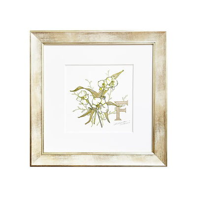 FP‐Line【 胡蝶蘭　Happiness comes flying】