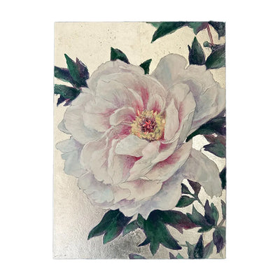 白牡丹
