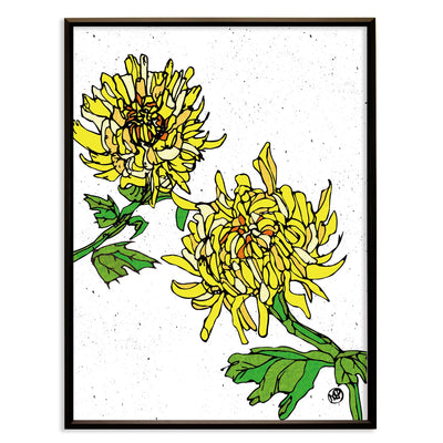 Chrysanthemum flowerNo.228