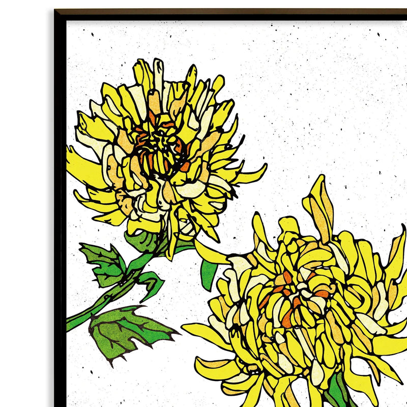 Chrysanthemum flowerNo.228