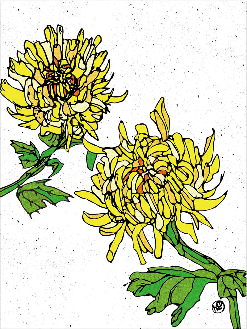 Chrysanthemum flowerNo.228