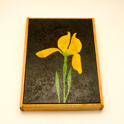 A single yellow iris No.241