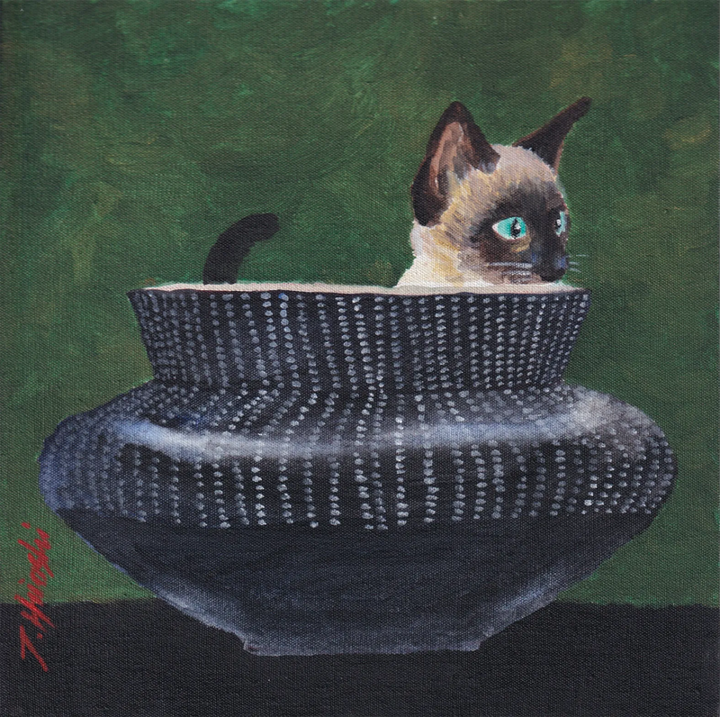 242-Cat in pot