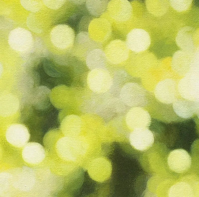 Forest Birds #8 (森に棲む鳥 #8)