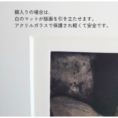 Afternoon #2 (白いユリ）