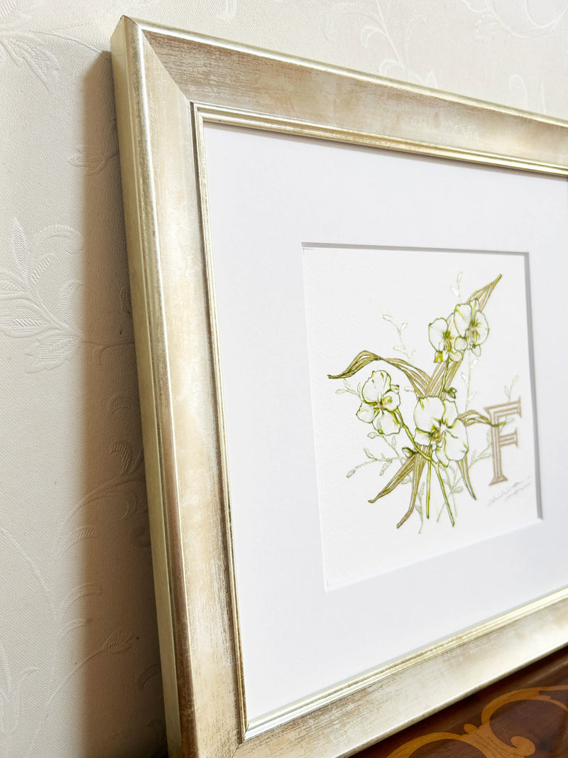 FP‐Line【 胡蝶蘭　Happiness comes flying】