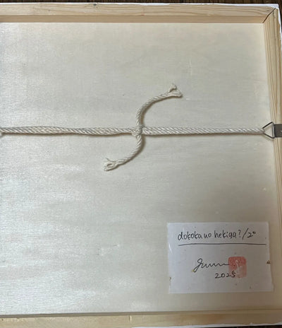 dokoka no hekiga?/2°