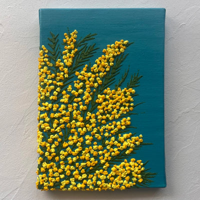 mimosa