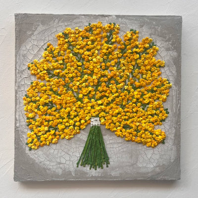 mimosa 3