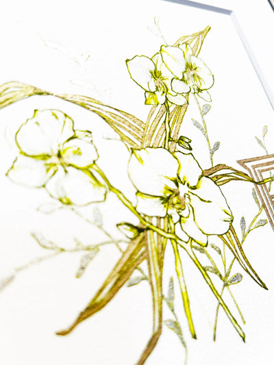 FP‐Line【 胡蝶蘭　Happiness comes flying】